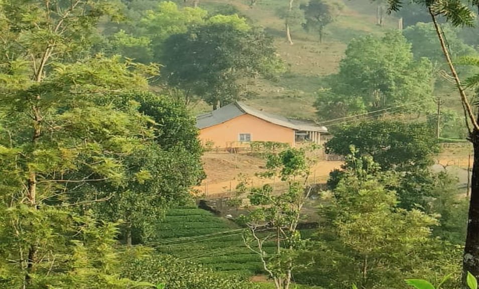 Valparai Horn Bill Homestays