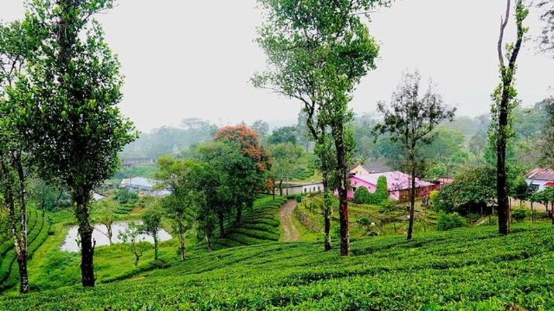 Valparai Elephant Valley Cottage