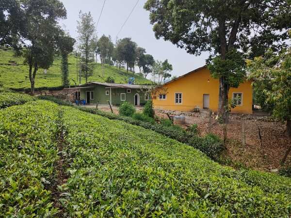 Valparai British Bungalow Cottage