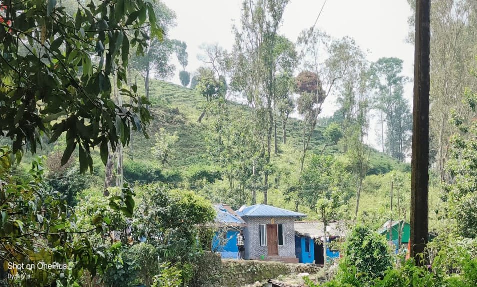 Valparai Kurangumudi Estate Homestay