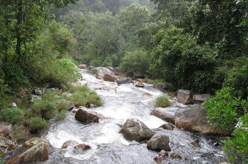 Valparai Cottages/Homestay in Forest