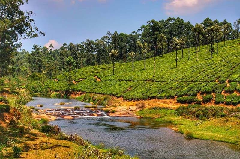 kerala-tours3