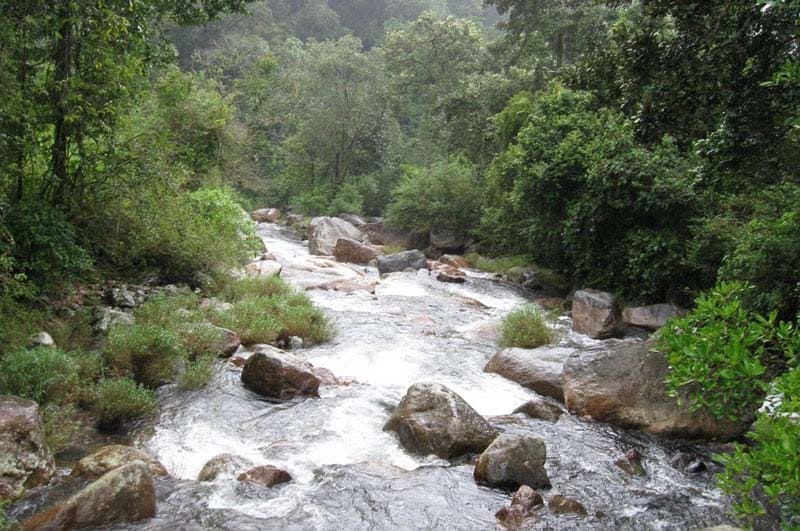valaparai-local-tours1
